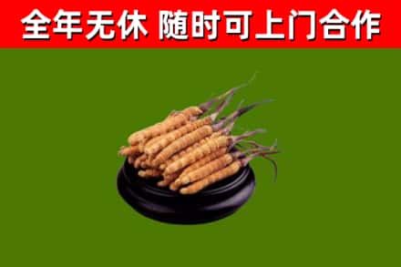 宜昌市烟酒回收冬虫夏草.jpg